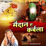 Maidan-E-Karbala - Salim Altaf Song Download